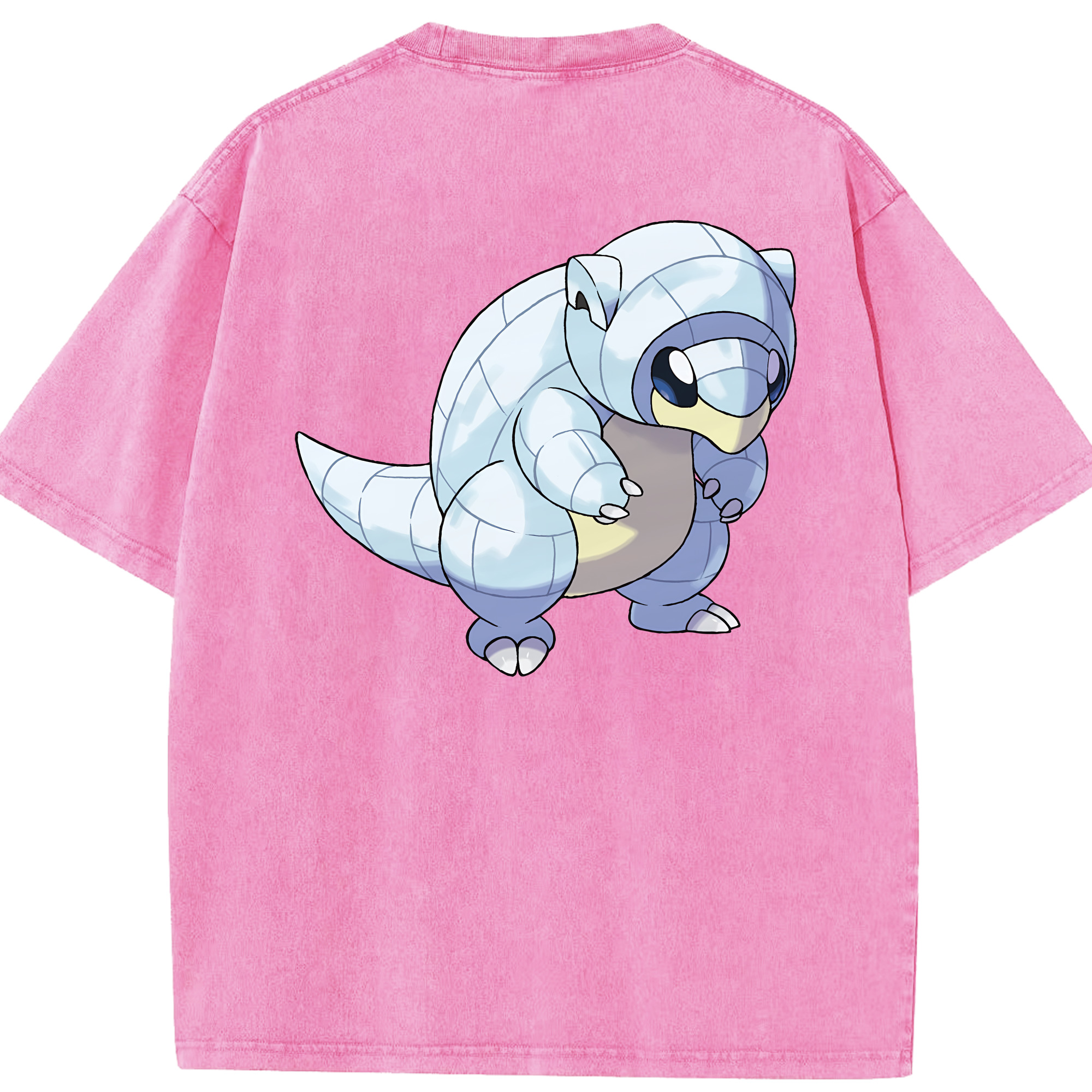 （画像用） ポケットモンスター Pokémon 綿100% ヴィンテージ風 半袖Tシャツ（背面プリント）